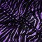 Purple-Black Poly Stretch Spandex Zebra Printed Velvet Knit Fabric By the Yard